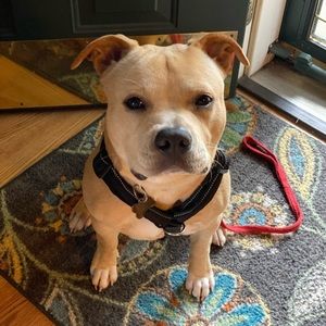 Meet your Posher, Javita